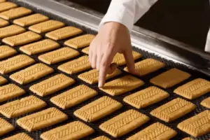 హఠాత్తుగా మూతపడ్డ  బిస్కట్ కంపెనీ.. ఉద్యోగుల ఆందోళన