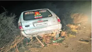 అడవిపంది రూపంలో మృత్యువు ఇద్దరు యువకులు మృతి