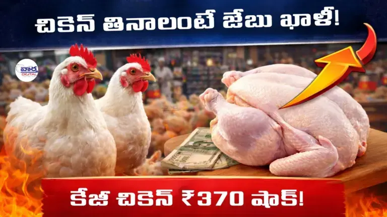 Sankranti: పండగ సందర్భంగా సడెన్‌గా పెరిగిన చికెన్, మటన్ ధరలు.. 