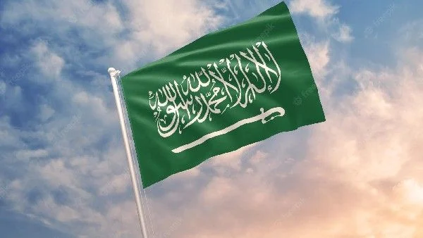 సౌదీలో ఏడాదిలో 356 మందికి మరణశిక్ష