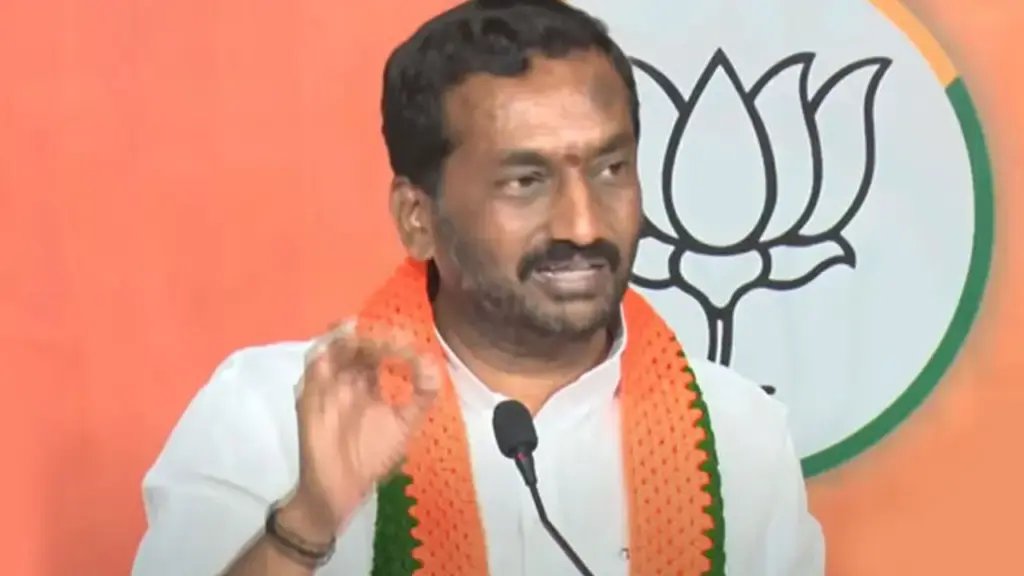 BJP Leader Raghunandan Rao