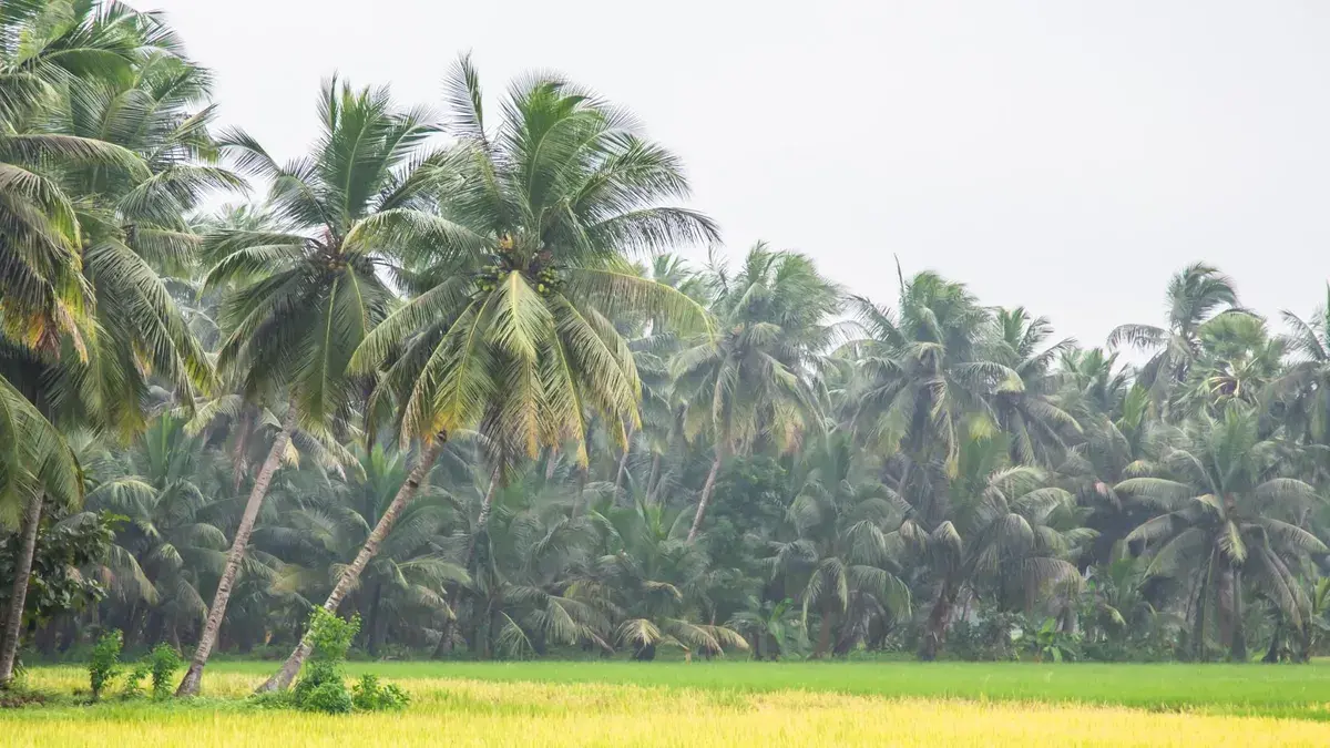 గ్యాస్ పైప్ లీక్.. భారీగా ఎగిసిపడుతున్న మంటలు