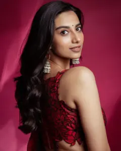 పెళ్లి రూమర్లపై క్లారిటీ ఇచ్చిన నటి మీనాక్షి