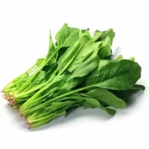 పాల‌కూర‌ను తింటే ఎన్నో అద్భుత‌మైన లాభాలు ..