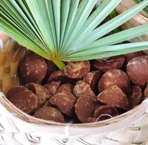 తాటి బెల్లంతో అధిక బరువు సమస్యకు చెక్