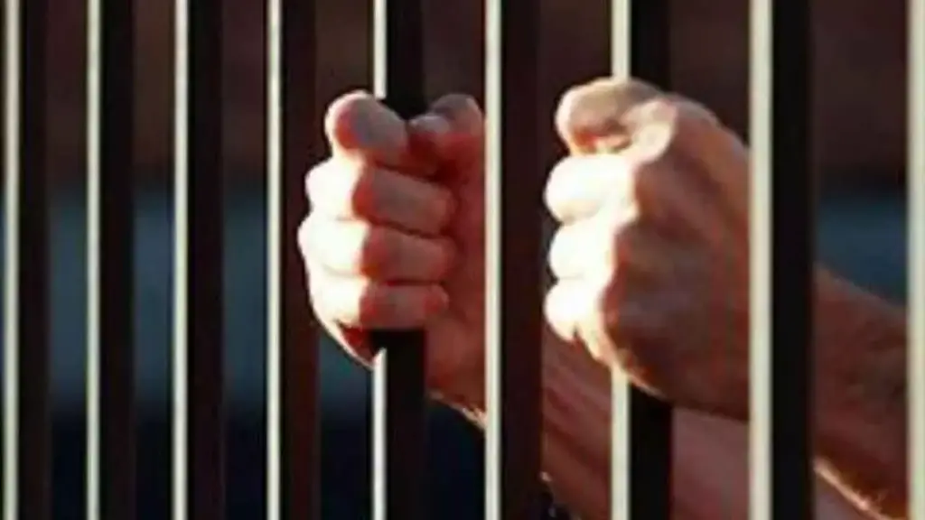 Mahabubnagar: Accused gets 20 years in prison in POCSO case