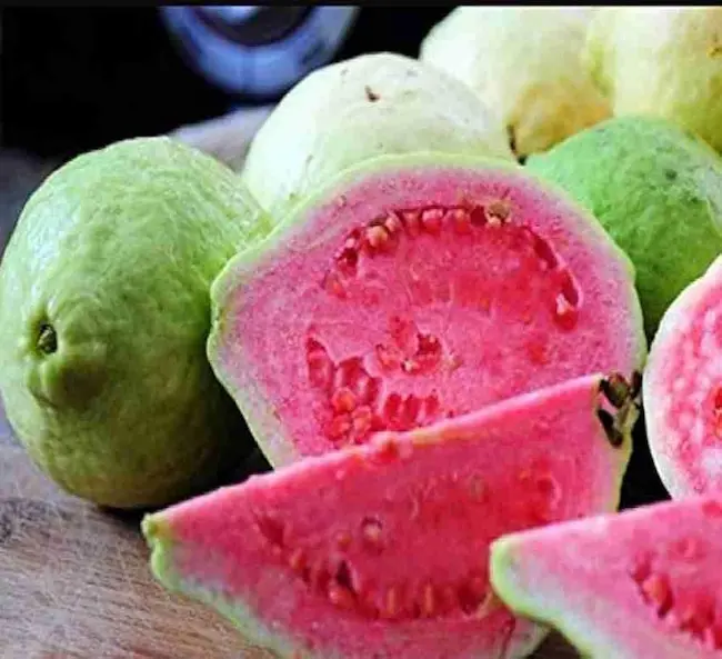 Guava
