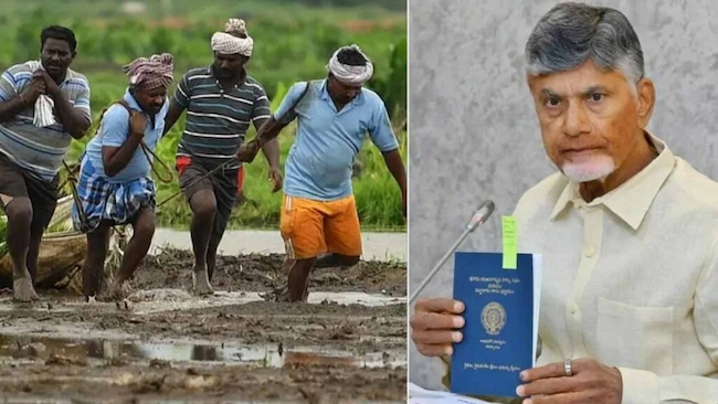 ఈ నెల 11 వరకు పాసు పుస్తకాల పంపిణీ