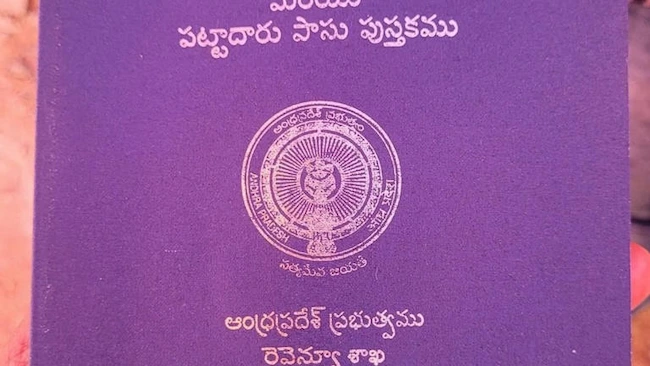Chandra Babu