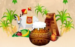 ‘కనుమ నాడు కాకైనా కదలదు’ వెనుక అసలు కారణం ఇదే!