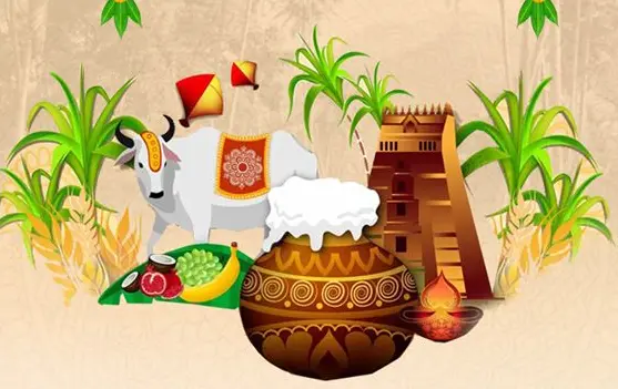 Kanuma Festival: ‘కనుమ నాడు కాకైనా కదలదు’ వెనుక అసలు కారణం ఇదే!