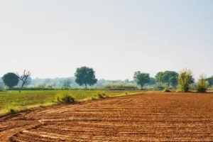 భూమి, కౌలు సంస్కరణలు అవసరం ల్యాండ్