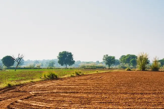 Land : భూమి, కౌలు సంస్కరణలు అవసరం ల్యాండ్