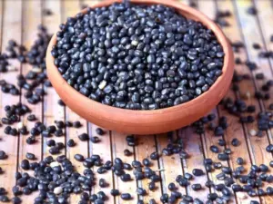 కనుమ రోజు మినుము ఎందుకు తినాలి?