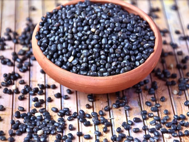 Indian Culture:కనుమ రోజు మినుము ఎందుకు తినాలి?