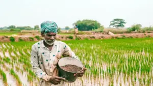 సాగు చేయని భూములకు రైతు భరోసా నిలిపివేత