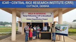 ICAR-CRRI లో రీసెర్చ్ పోస్టులు