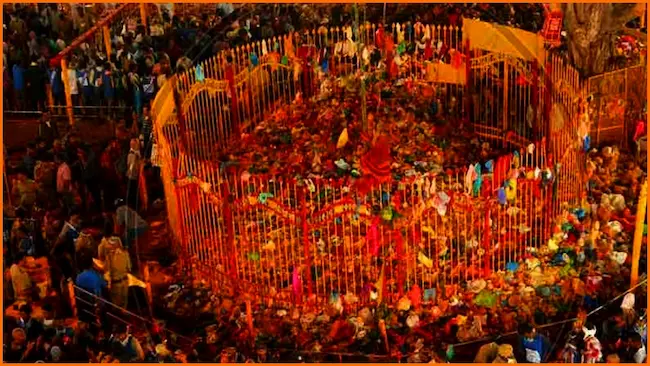 Sammakka Saralamma: మేడారం జాతరలో తొలి దేవత లక్ష్మీదేవర