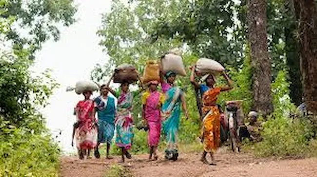 Adivasis :ఆదివాసీల సొంతింటి కల నెరవేరేనా?