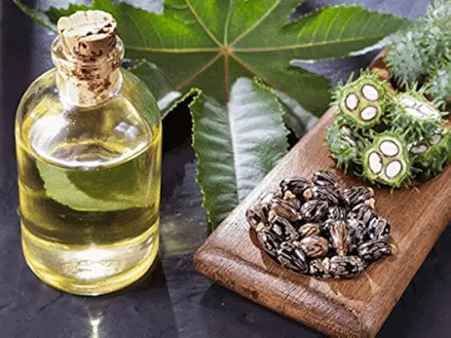 Castor Oil : ఆముదం తీసుకుంటే మలబద్దకం, గ్యాస్‌ నయమవుతాయా?