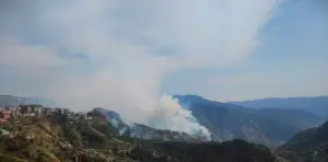 లోహిత్, జుకో వ్యాలీల్లో అరణ్యాగ్ని విస్తరణ