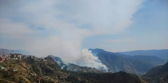 Operation Pacific: లోహిత్, జుకో వ్యాలీల్లో అరణ్యాగ్ని విస్తరణ