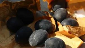 జపాన్‌లో నల్లగా మారే కోడిగుడ్ల రహస్యం