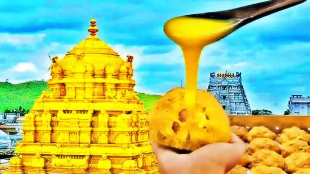 Tirumala Laddu Ghee Controvery