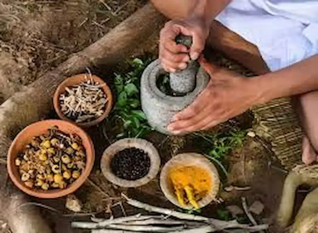 AP: తిరుపతిలోని సిద్ధ వైద్య పరిశోధన విభాగంలో జాతీయ 9వ సిద్ధ దినోత్సవ వేడుకలు