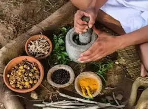 తిరుపతిలోని సిద్ధ వైద్య పరిశోధన విభాగంలో జాతీయ 9వ సిద్ధ దినోత్సవ వేడుకలు