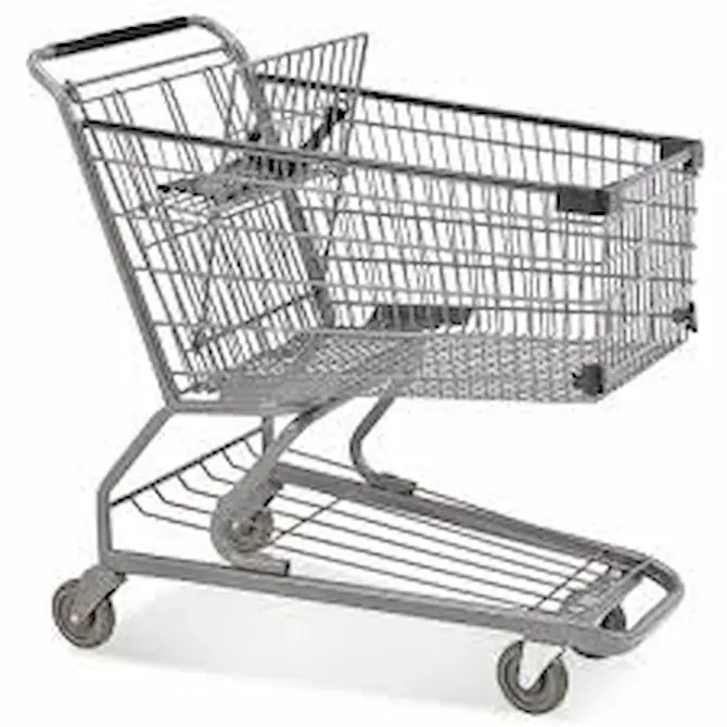 Bacteria Alert: షాపింగ్ కార్టుల్లో బ్యాక్టీరియా.. వైద్యుల హెచ్చరిక