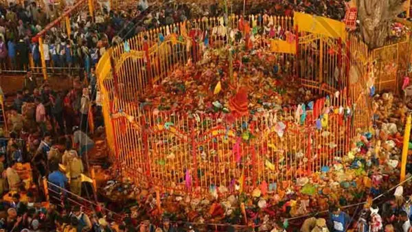 Sammakka-Saralamma: మేడారంలో అమ్మవార్లకు గుడి ఎందుకు కట్టలేదంటే ?