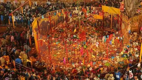 Sammakka Saralamma: మేడారం జాతరలో భక్తులను భయపెడుతున్న ధరలు