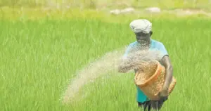 ఫిబ్రవరి తొలివారంలో రైతులకు రూ.2వేలు?