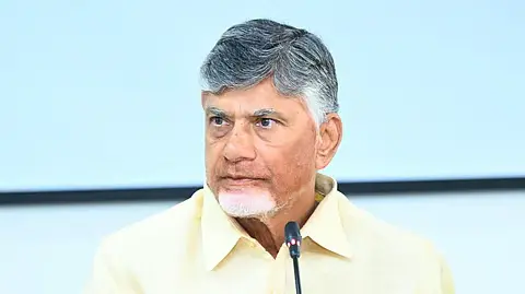 AP: 33% reservation for women in legislative assemblies soon: Chandrababu