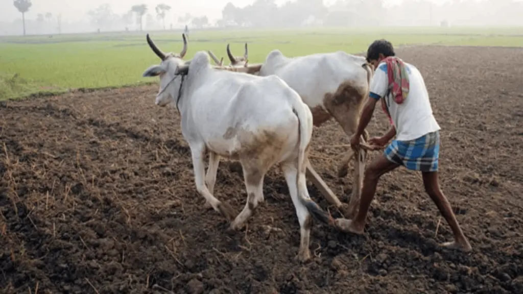 special farmer chat app for farmers