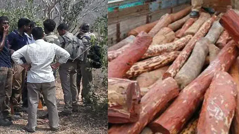 AP: అటవీ శాఖలో ఇంటి దొంగలపై ఉక్కుపాదం