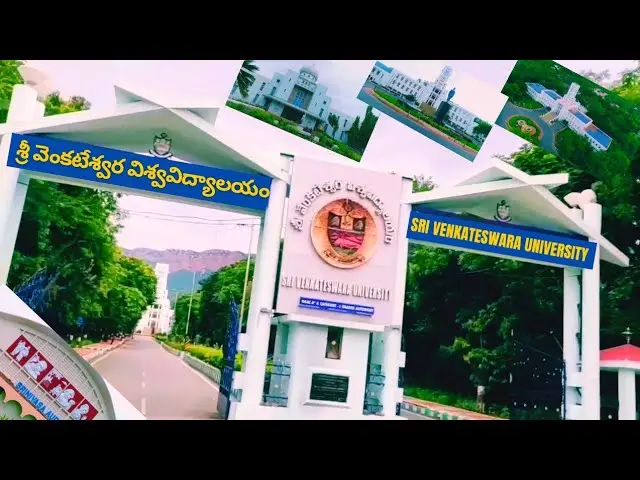 Tirupati: మాస్టర్ ఆఫ్ ఫిజికల్ ఎడ్యుకేషన్ కోర్సు ప్రవేశపెట్టాలి