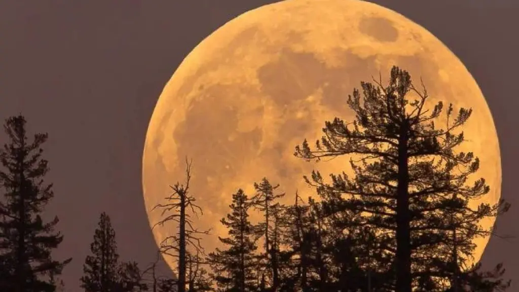 Super Moon: First full moon tomorrow
