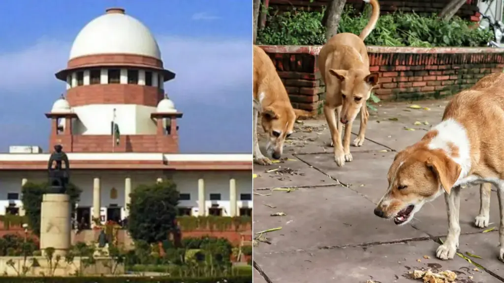 Supreme Court: ప్రతి కుక్క కాటుకు పరిహారం చెల్లించాల్సిందే