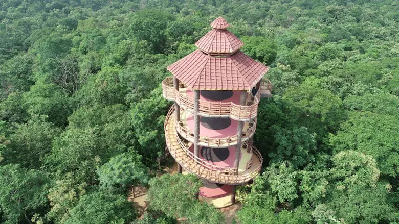 Telangana: The Central Govt has approved the establishment of 6 urban forests