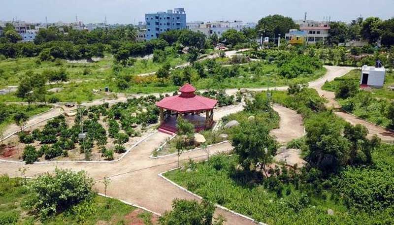 Urban Forests : తెలంగాణ లో మరో 6 అర్బన్ ఫారెస్ట్ లు