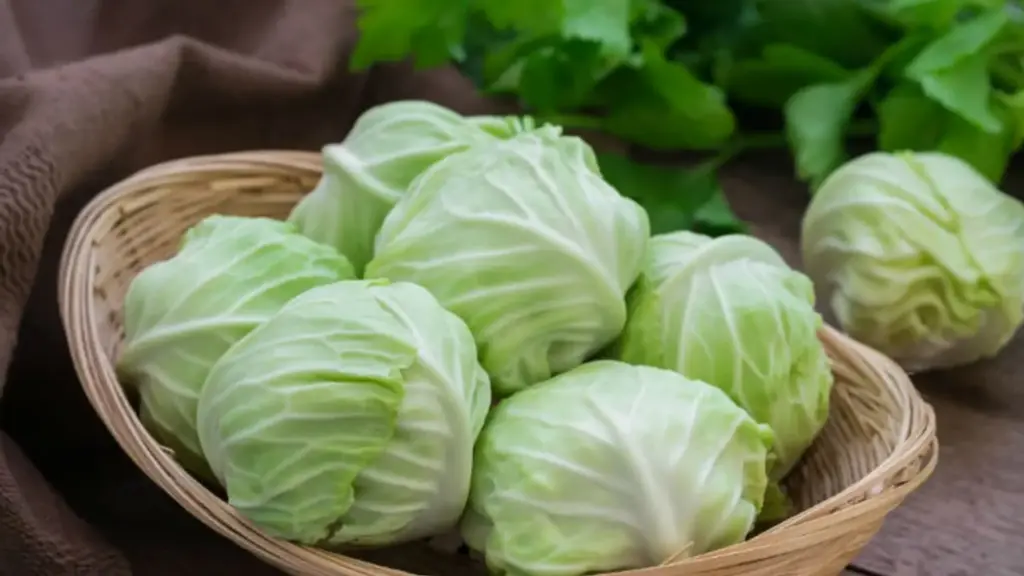 Are you eating cabbage? These precautions are essential
