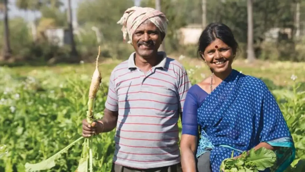 Special vehicles similar to ambulances.