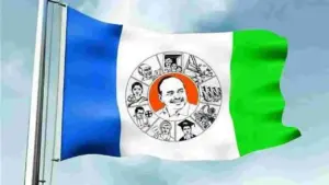 ప్రజలకు చంద్రబాబు ద్రోహం చేశారన్న వైసీపీ నేత