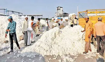 Khammam: రేపటి నుంచి పత్తి కొనుగోళ్లు బంద్