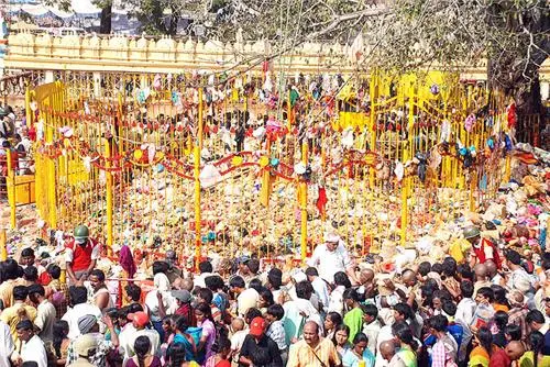 Sammakka Saralamma: Medaram Fair concludes