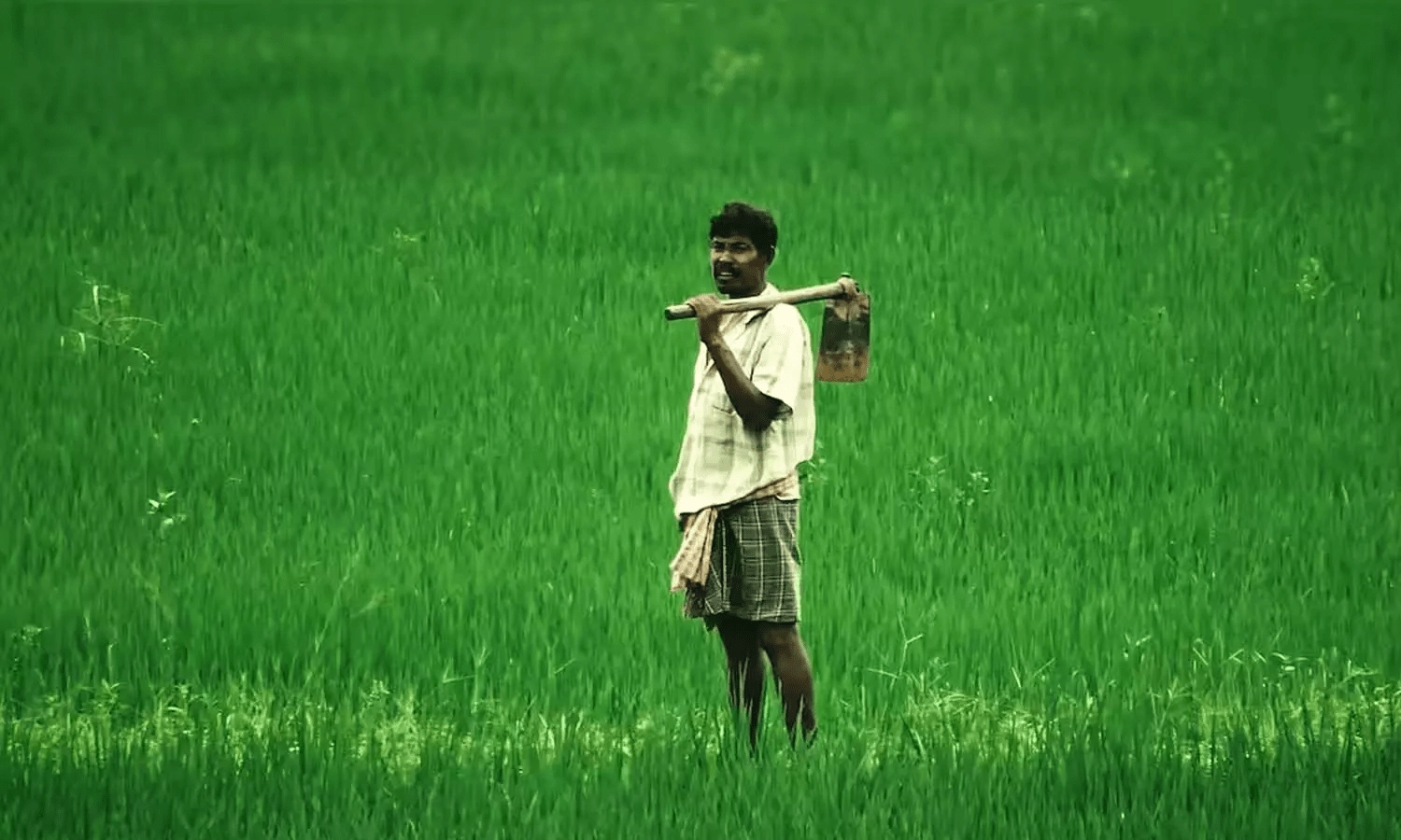 The Revanth government has taken a crucial decision on farmer