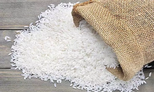 Huge demand for Telangana rice in the European market
