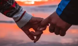 అనారోగ్యంతో భర్త.. మనస్థాపంతో భార్య మృతి